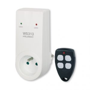 WS313